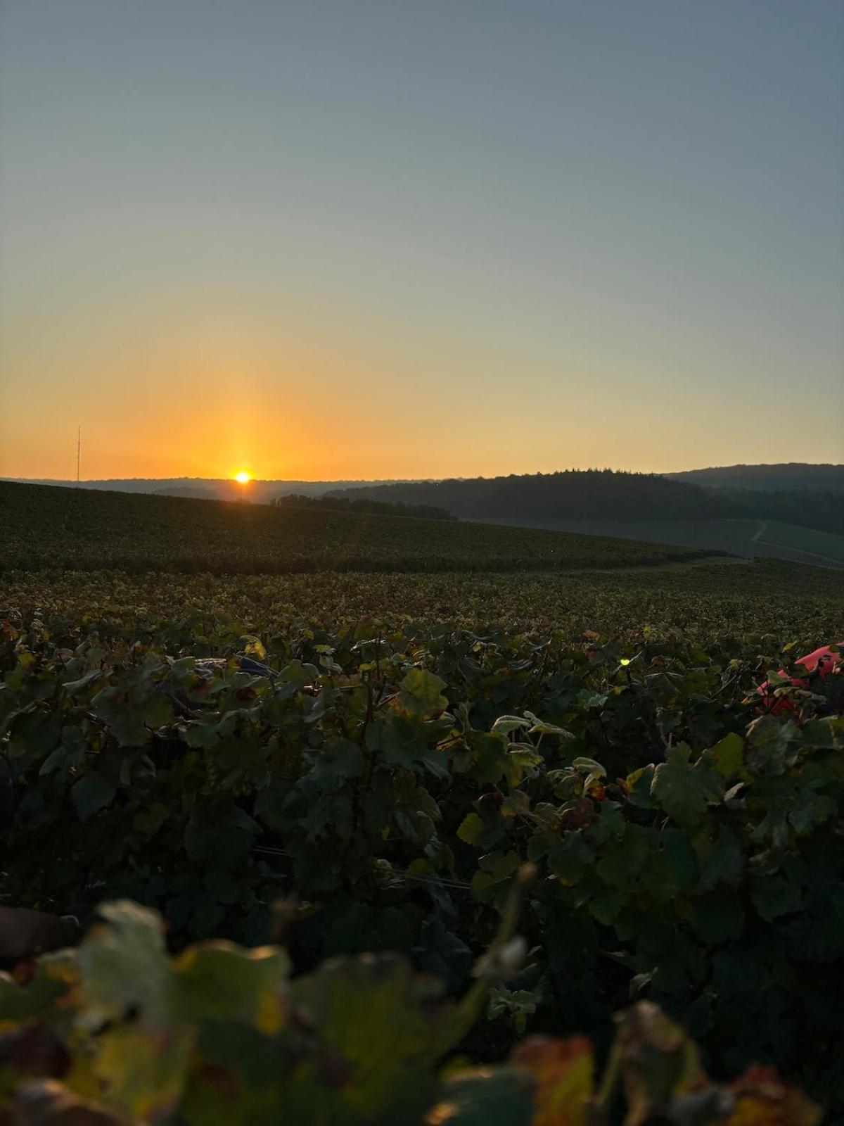 La Galipette, En Champagne Fleury-la-Riviere